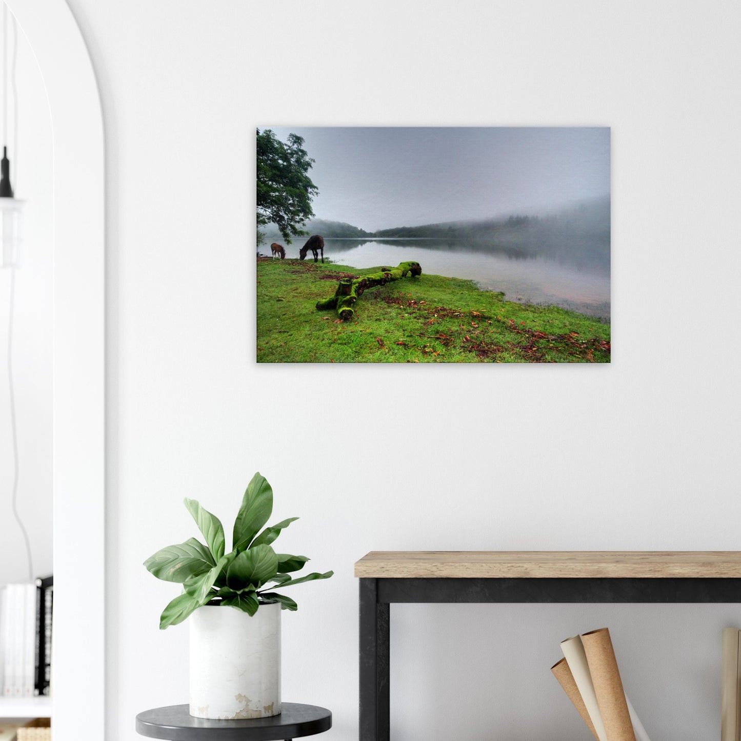 Mossy log leading into misty Burrator Reservoir landscape