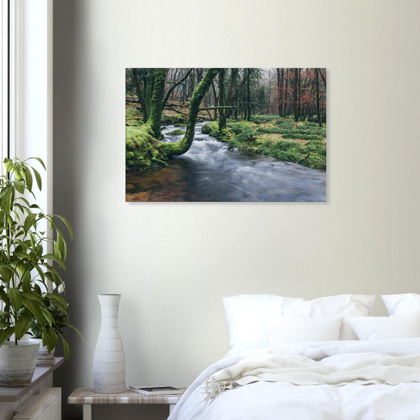 Peaceful forest stream scene in Dartmoor with glowing greenery and tranquil water