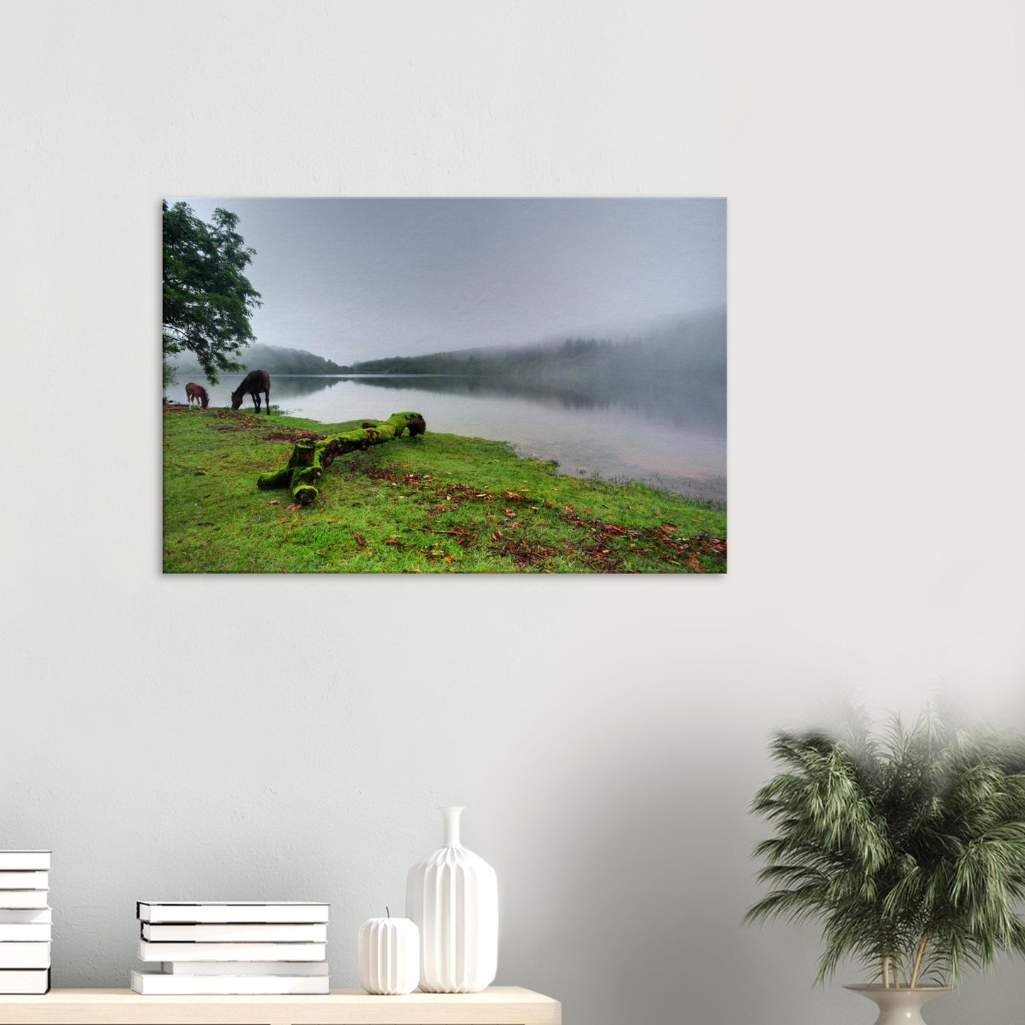 Moss-covered fallen tree by Burrator Reservoir on a foggy day