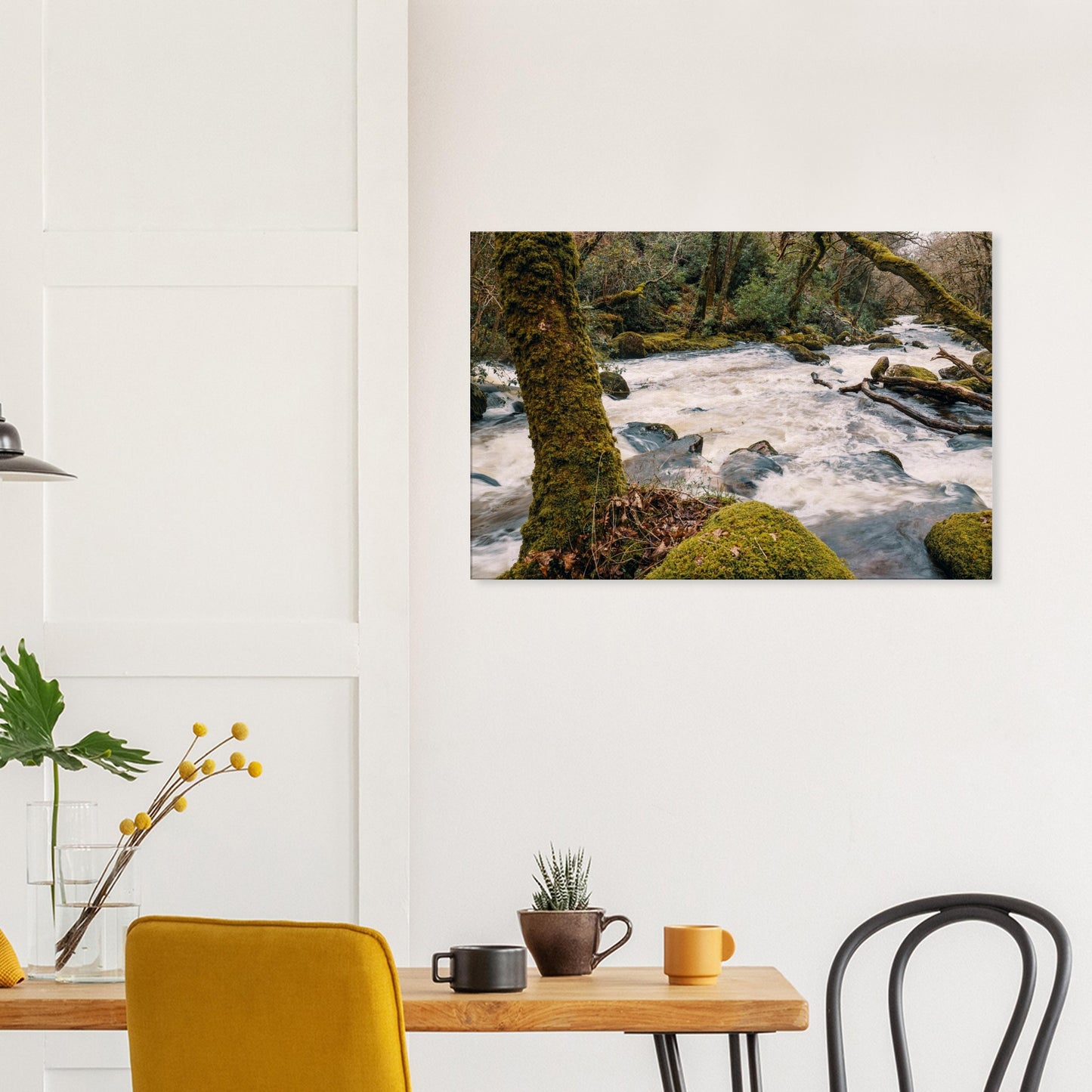 River Plym weaving through Devon forest with frothy rapids and mossy banks