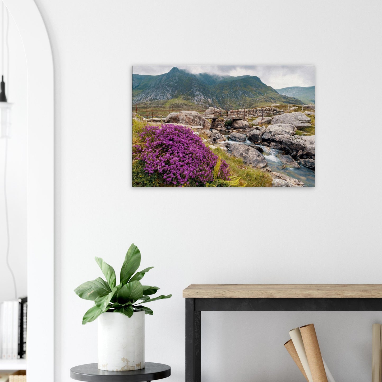 Snowdonia canvas print featuring Llyn Idwal’s rugged beauty and flora