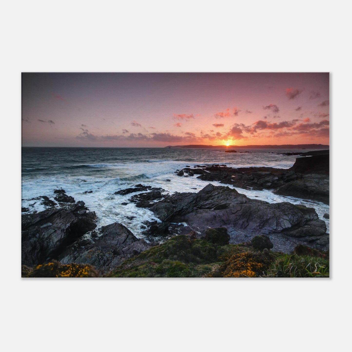 Golden hour coastal canvas of Heybrook Bay featuring warm light over rugged cliffs, churning sea, and wildflowers in the wind.