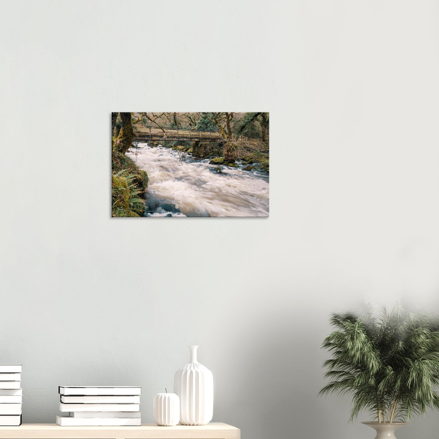 Wild river landscape featuring the River Plym’s motion beneath a footbridge