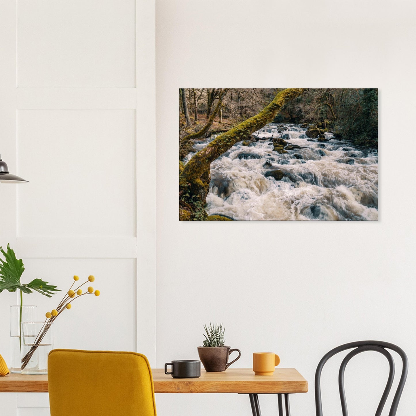 Canvas print showcasing the natural energy of the River Plym in Devon’s Dartmoor