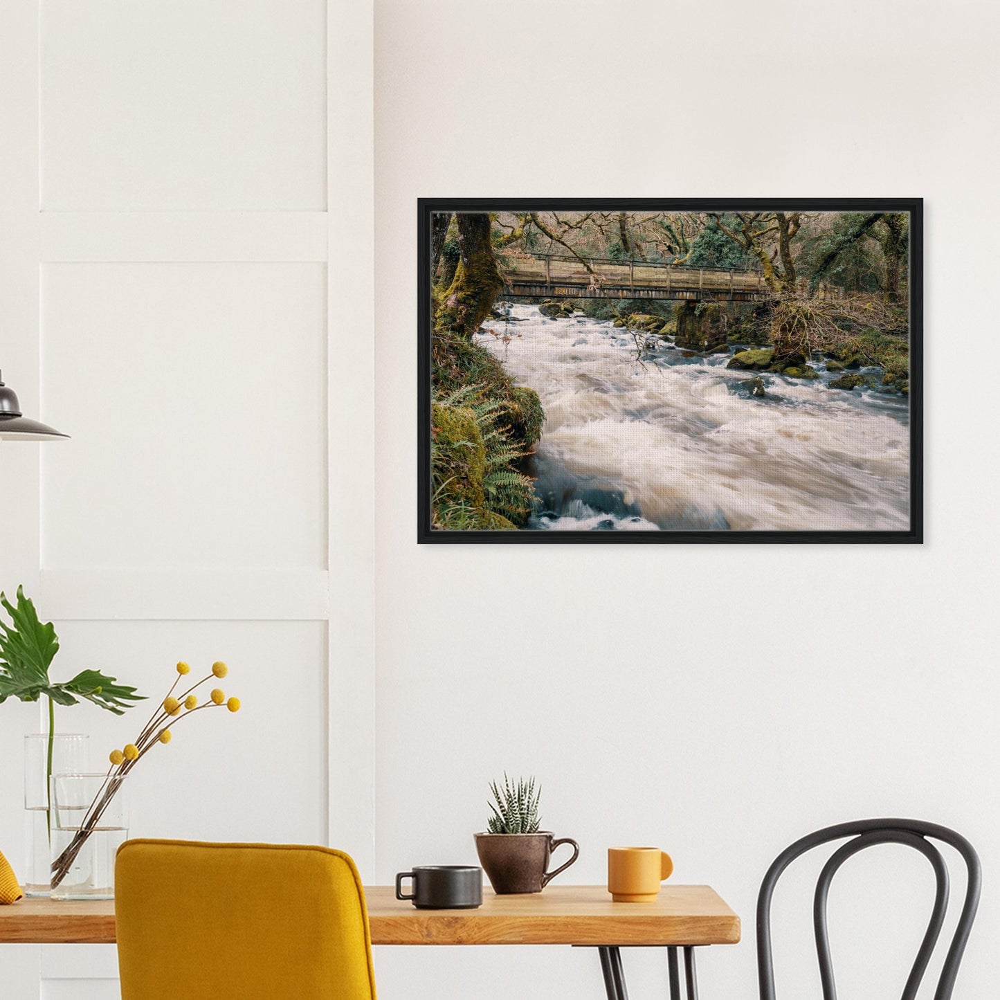 River Plym landscape with mossy woodland banks
