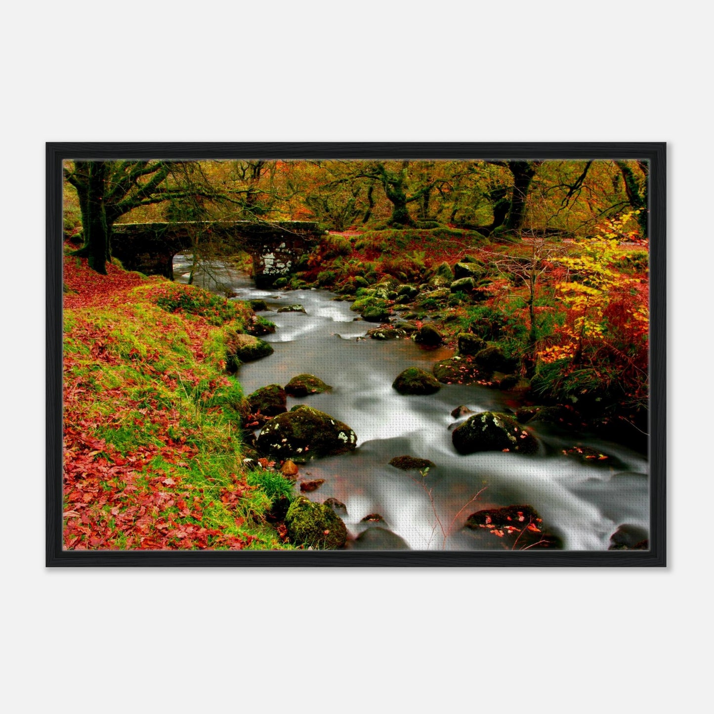 Autumn colours at Burrator Reservoir with stone bridge and flowing stream
