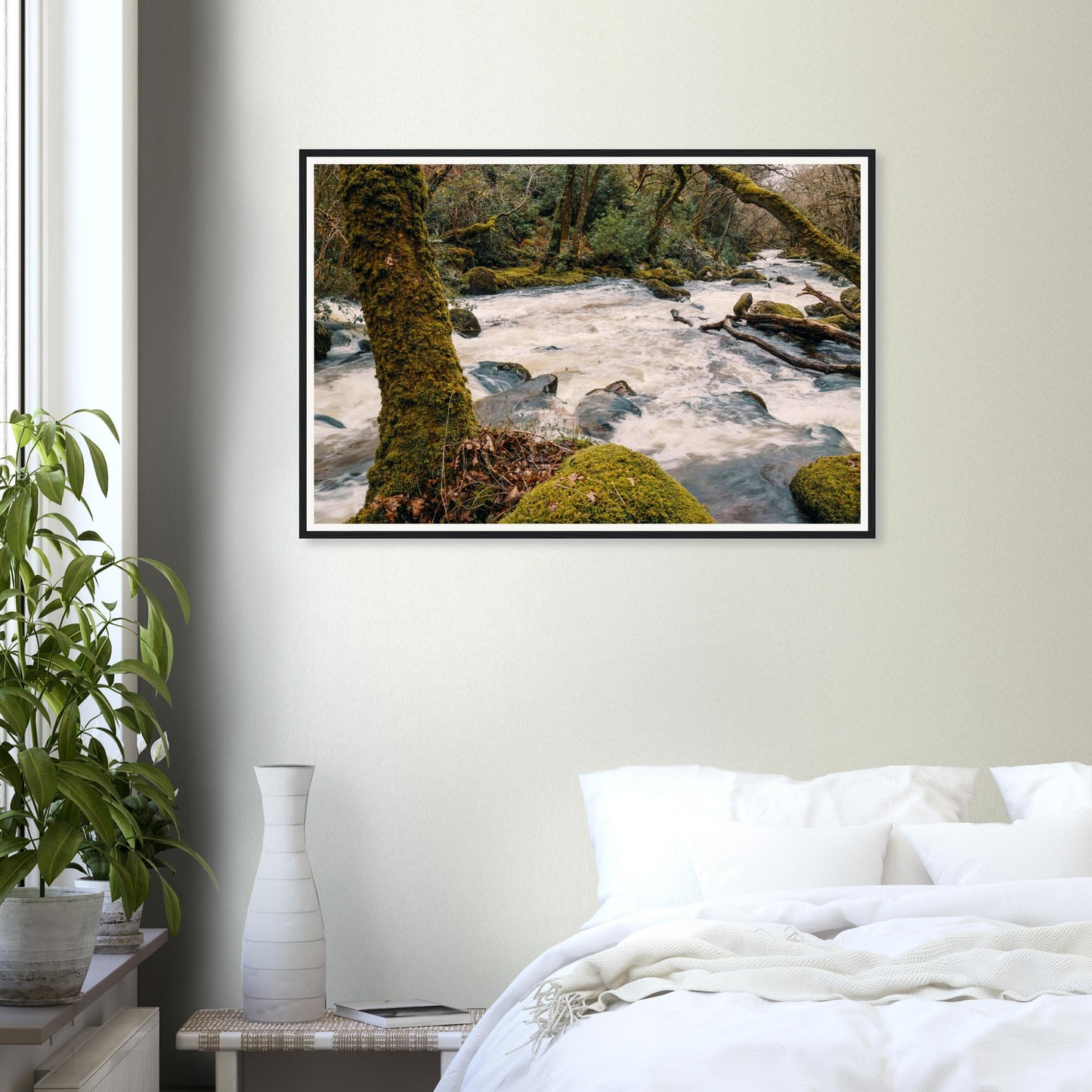 Scenic framed print of River Plym carving woodland path