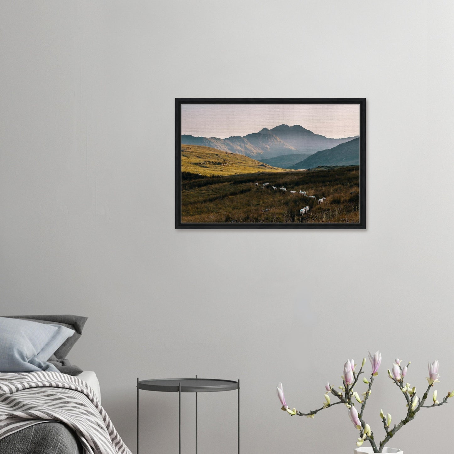 Canvas print of sheep and hills in evening light