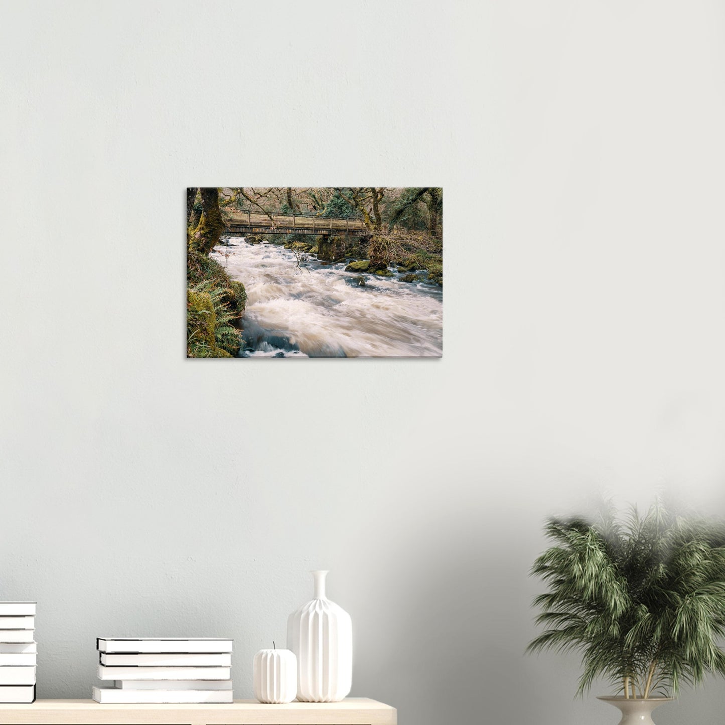 River Plym’s lively waters framed by ferns and greenery at Shaugh Prior in Devon