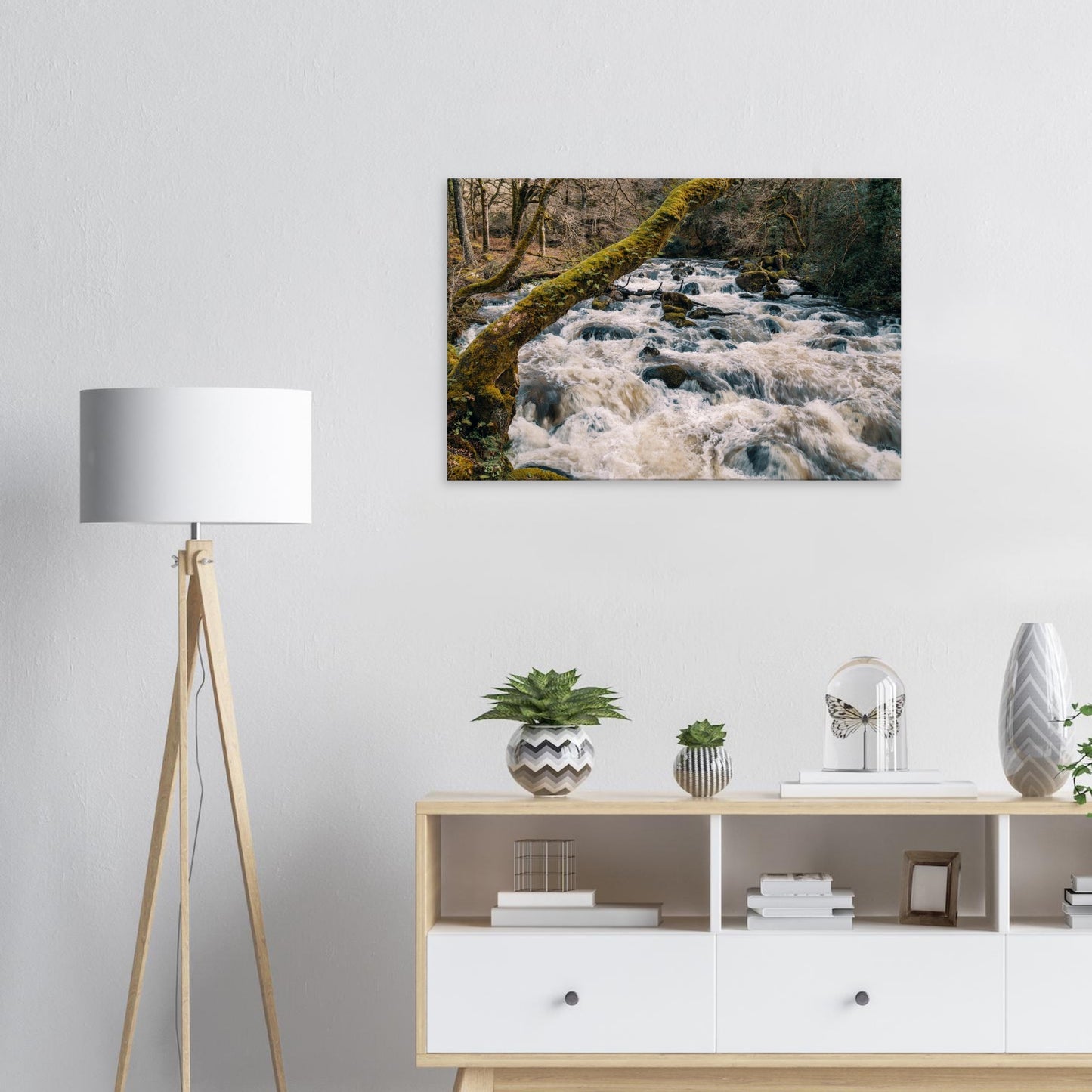 Scenic Dartmoor canvas featuring the wild beauty of the River Plym and surrounding woods