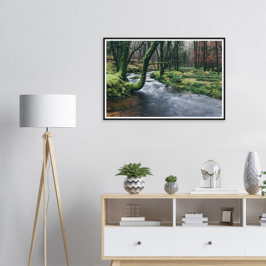 Framed print of River Meavy woodland in Dartmoor National Park