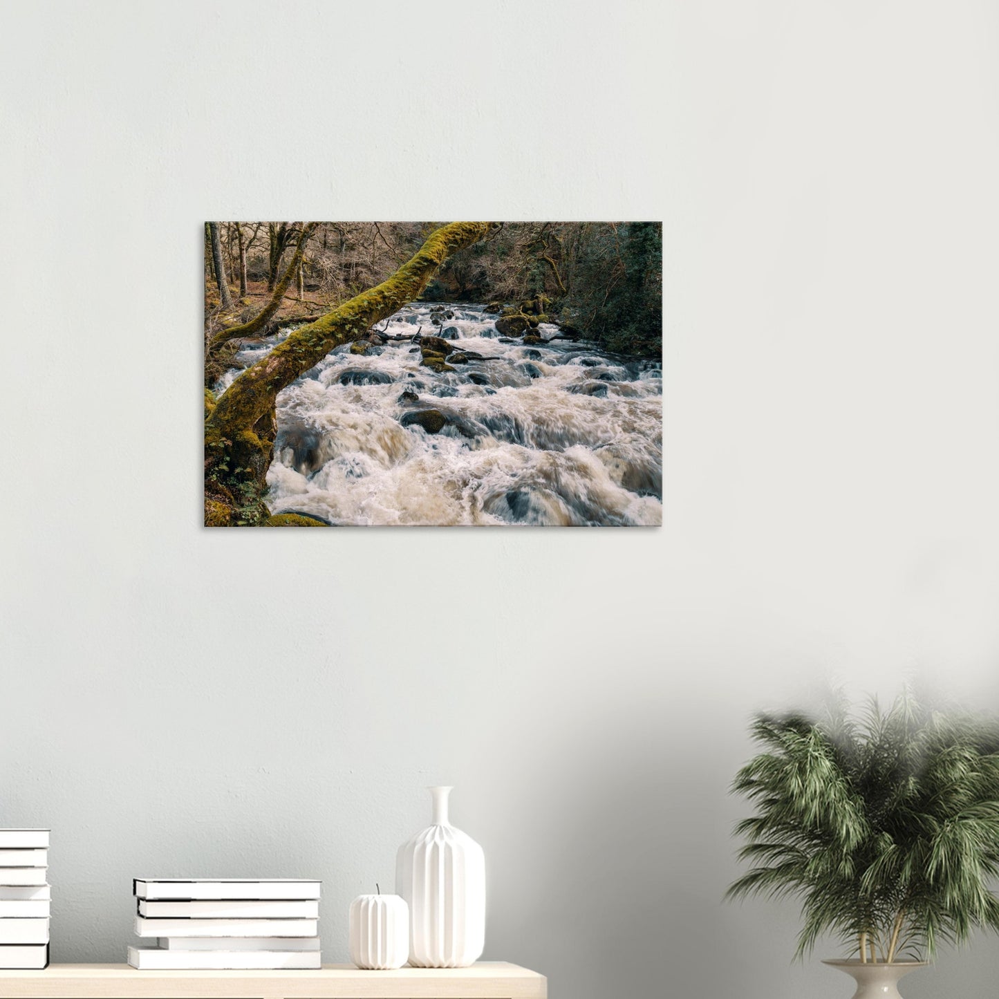 Frothy white rapids of the River Plym tumbling over rocks in Dartmoor National Park