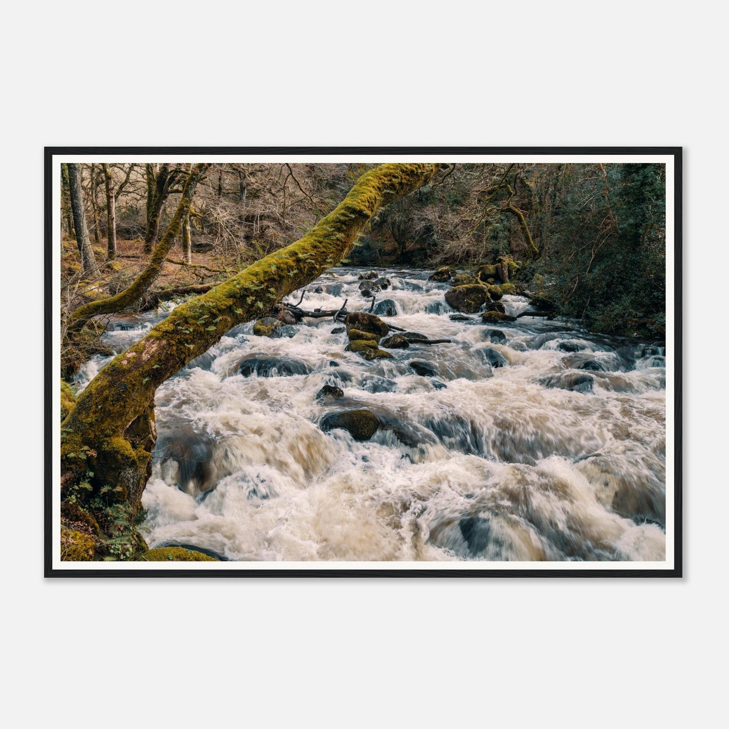 Scenic framed wall art of River Plym flowing over boulders