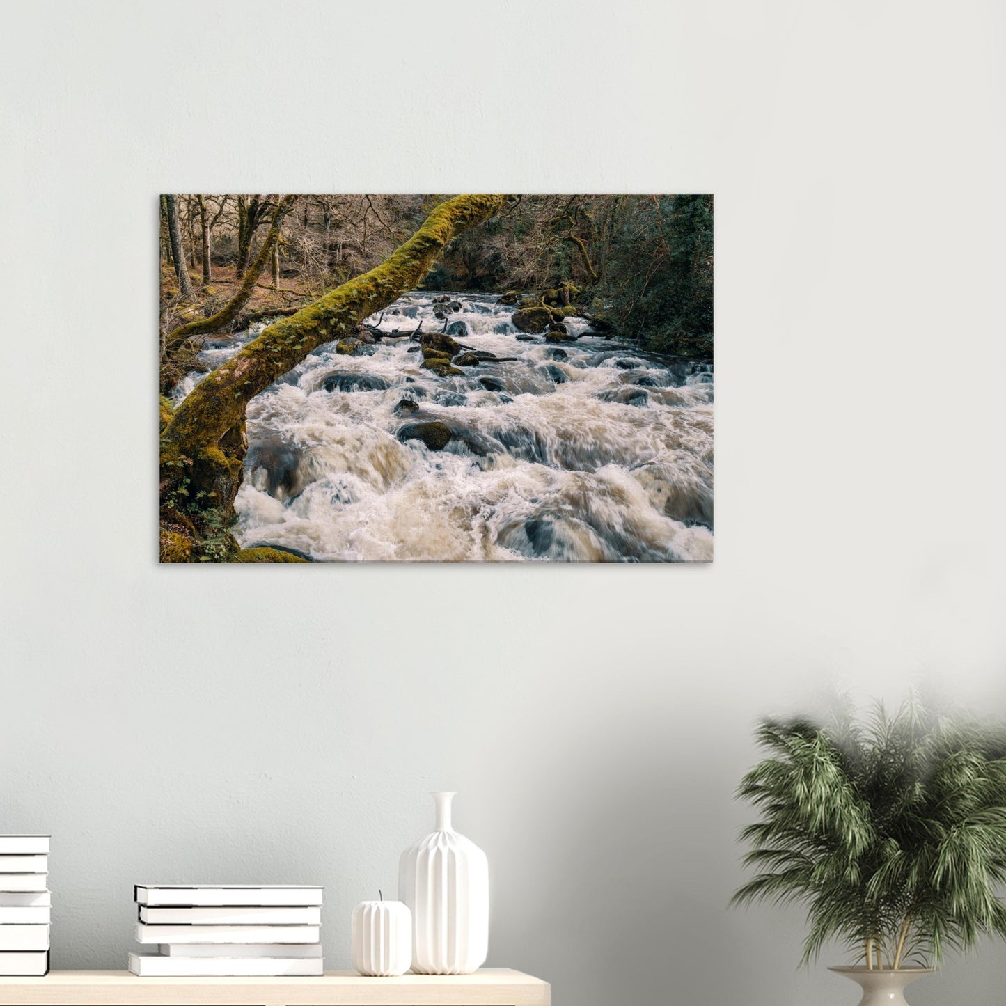 Dartmoor’s River Plym flowing with power beneath mossy branches and leafy canopy