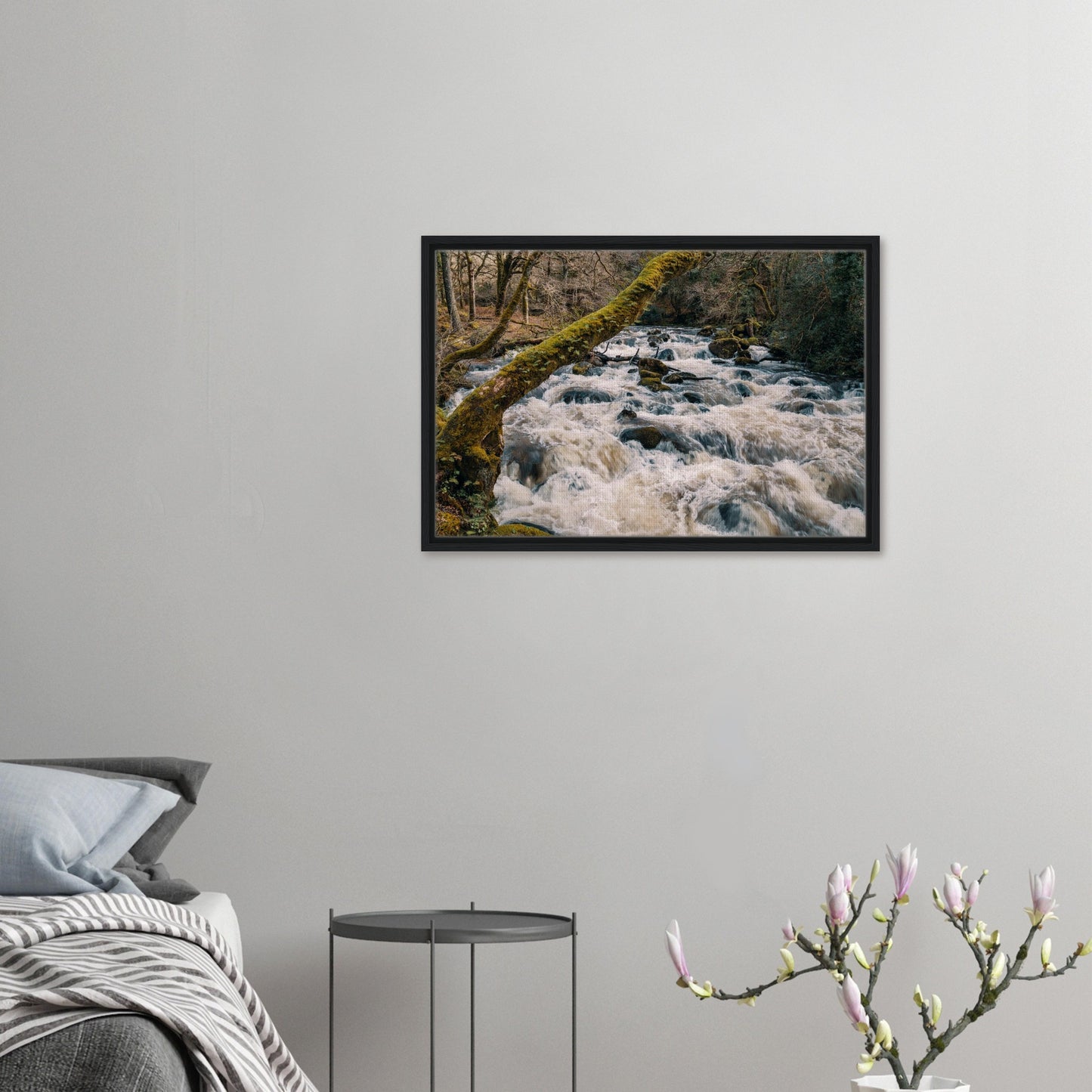 Shaugh Prior river scene with powerful white water