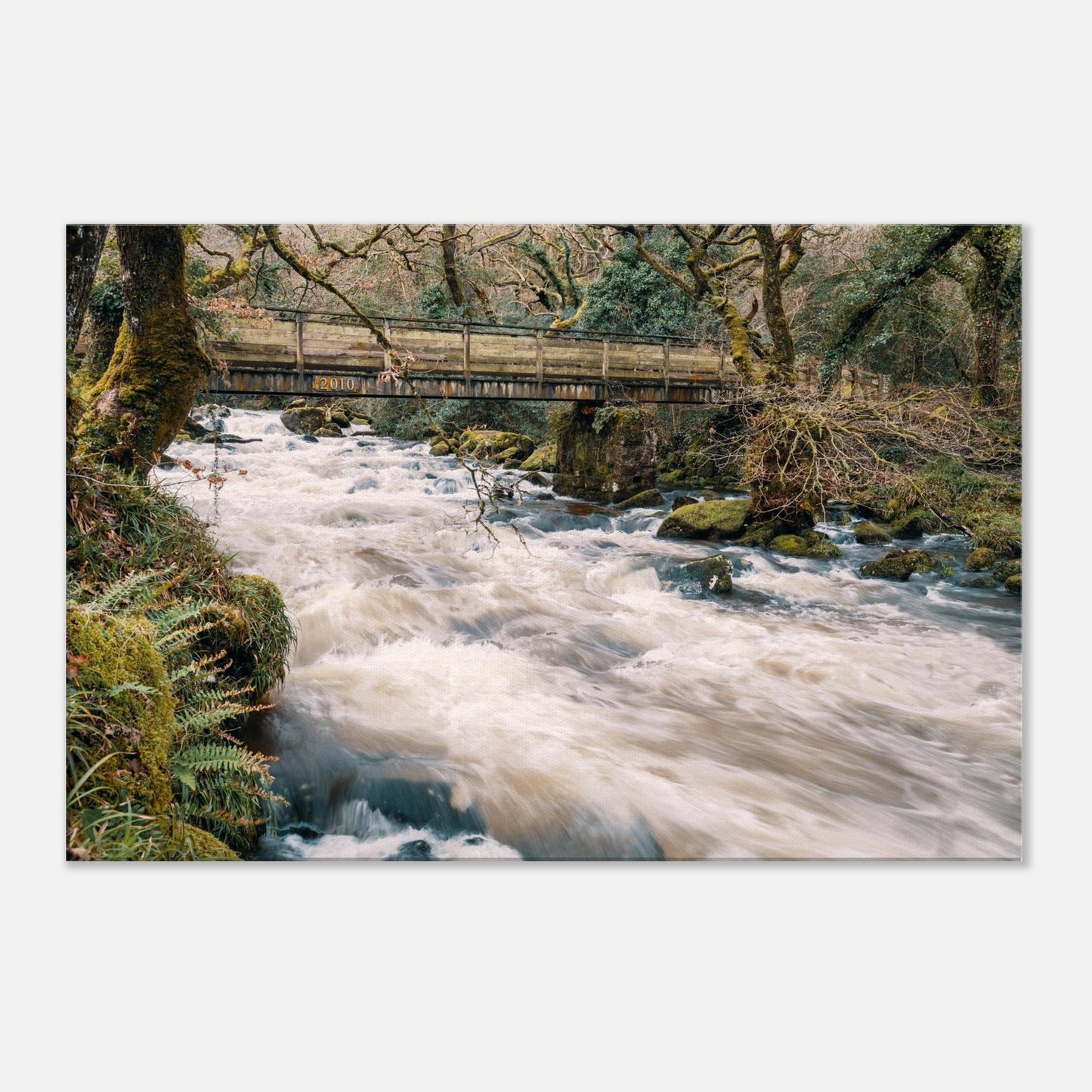 Dartmoor’s River Plym captured mid-cascade under a rustic footbridge in lush woodland