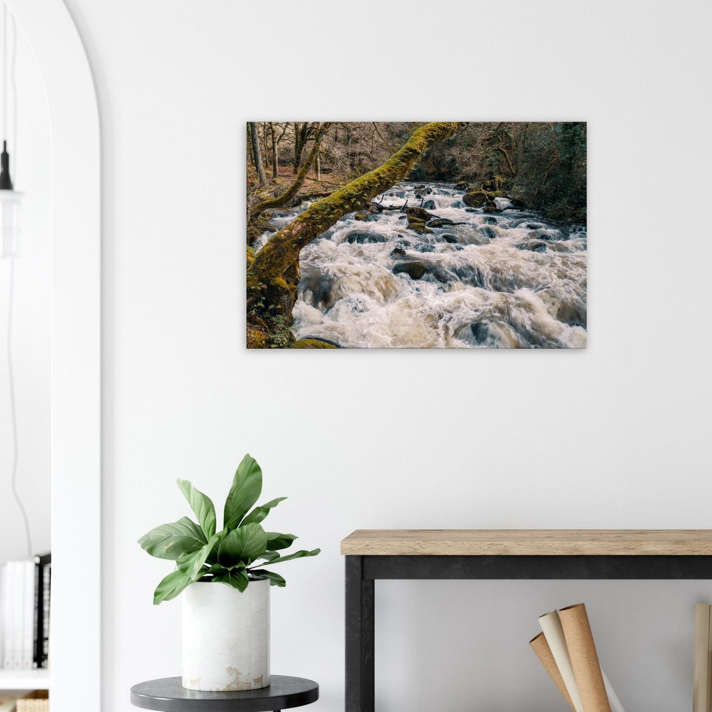 River Plym in Dartmoor National Park, framed by boulders and forest foliage