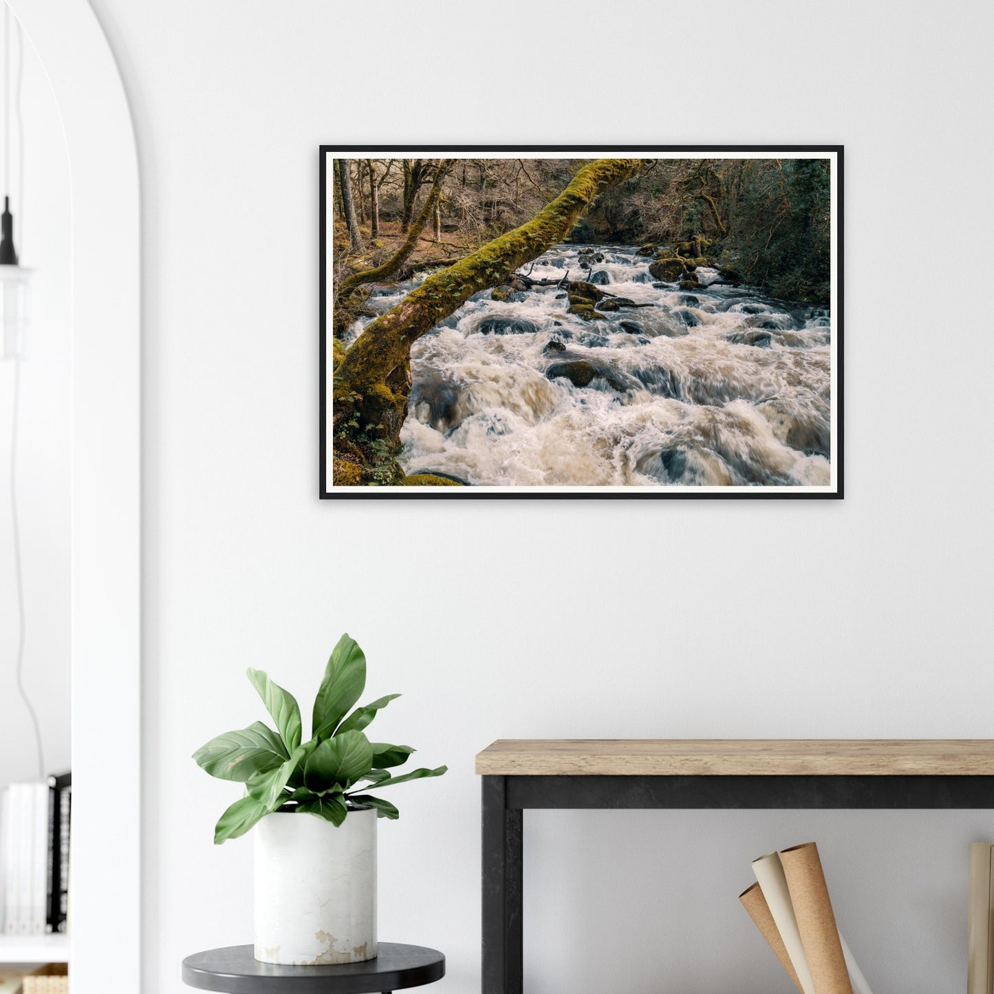 Scenic framed print of River Plym flowing over rocks and moss