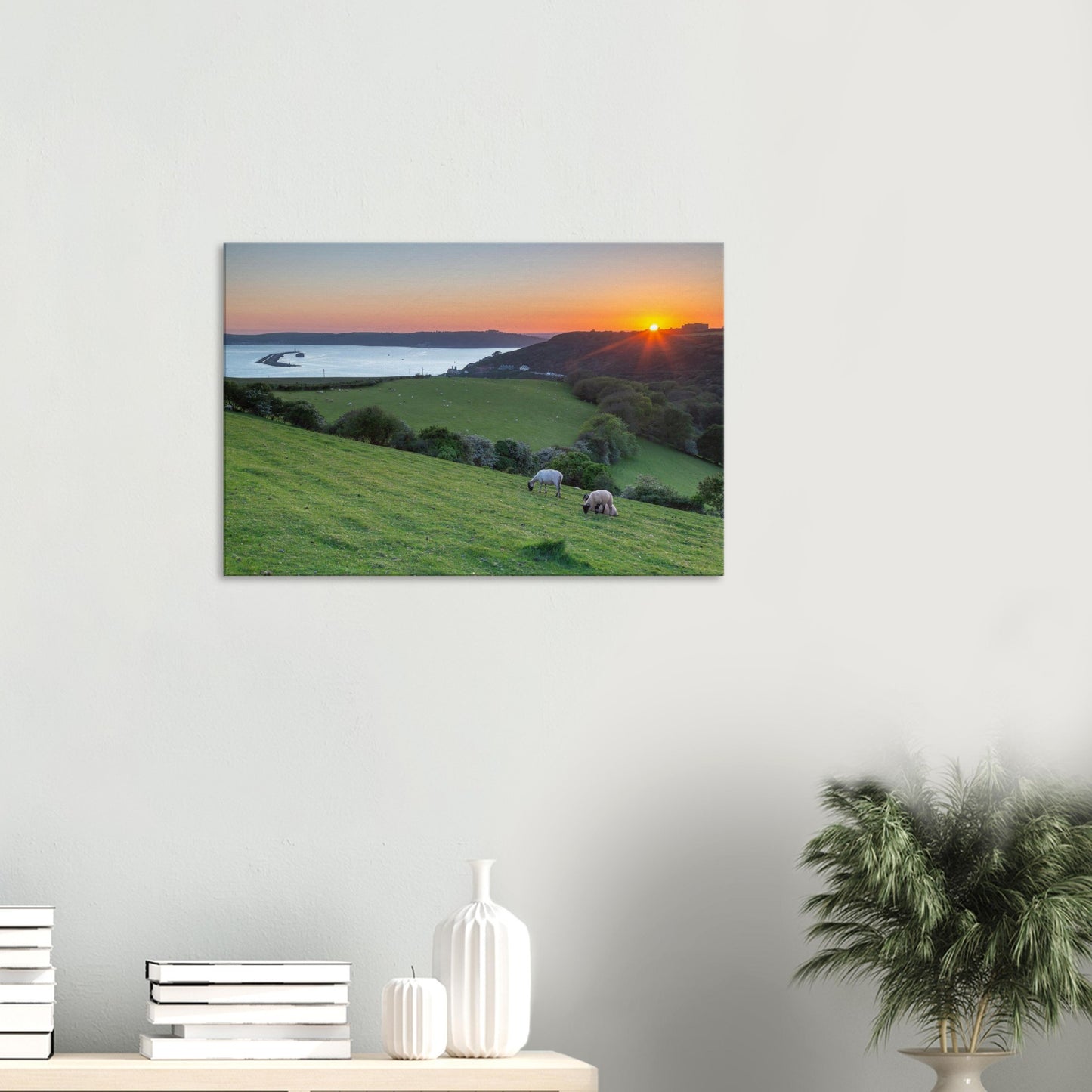Sheep grazing on hillside at sunset near Plymouth Sound in Devon