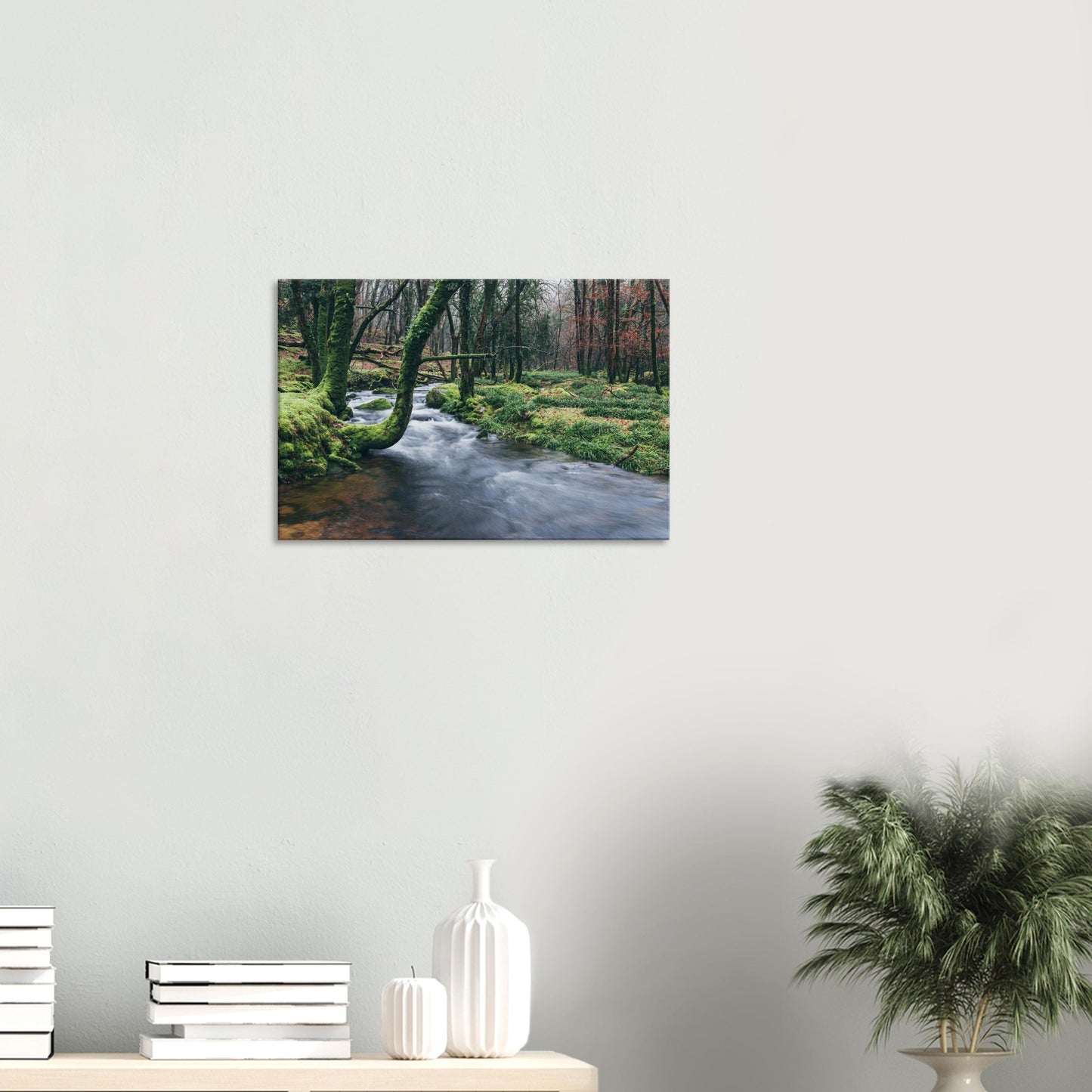 Mossy Dartmoor woodland with reflective river and graceful overhanging trees