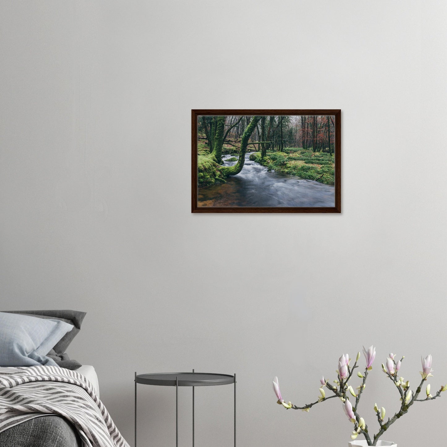 Canvas print of Dartmoor woodland and mossy trunks