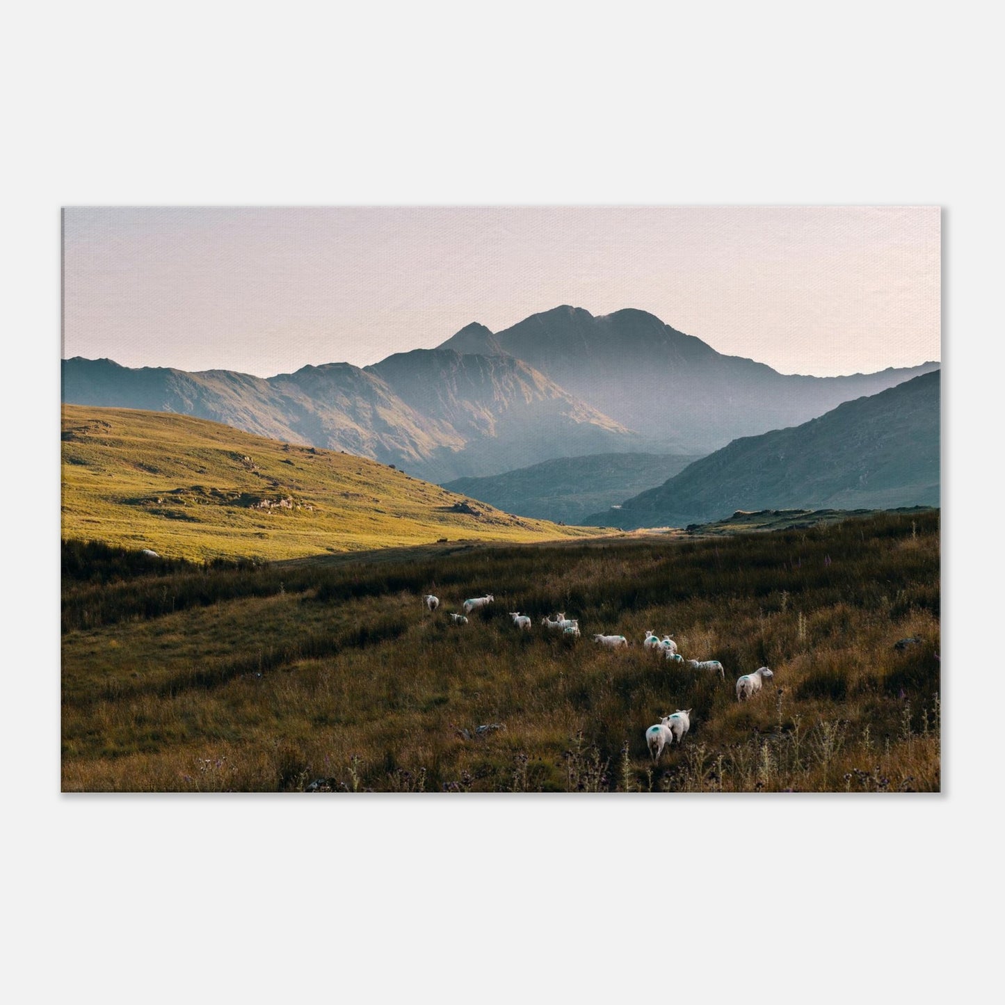 Serene evening light over Snowdonia National Park in canvas art