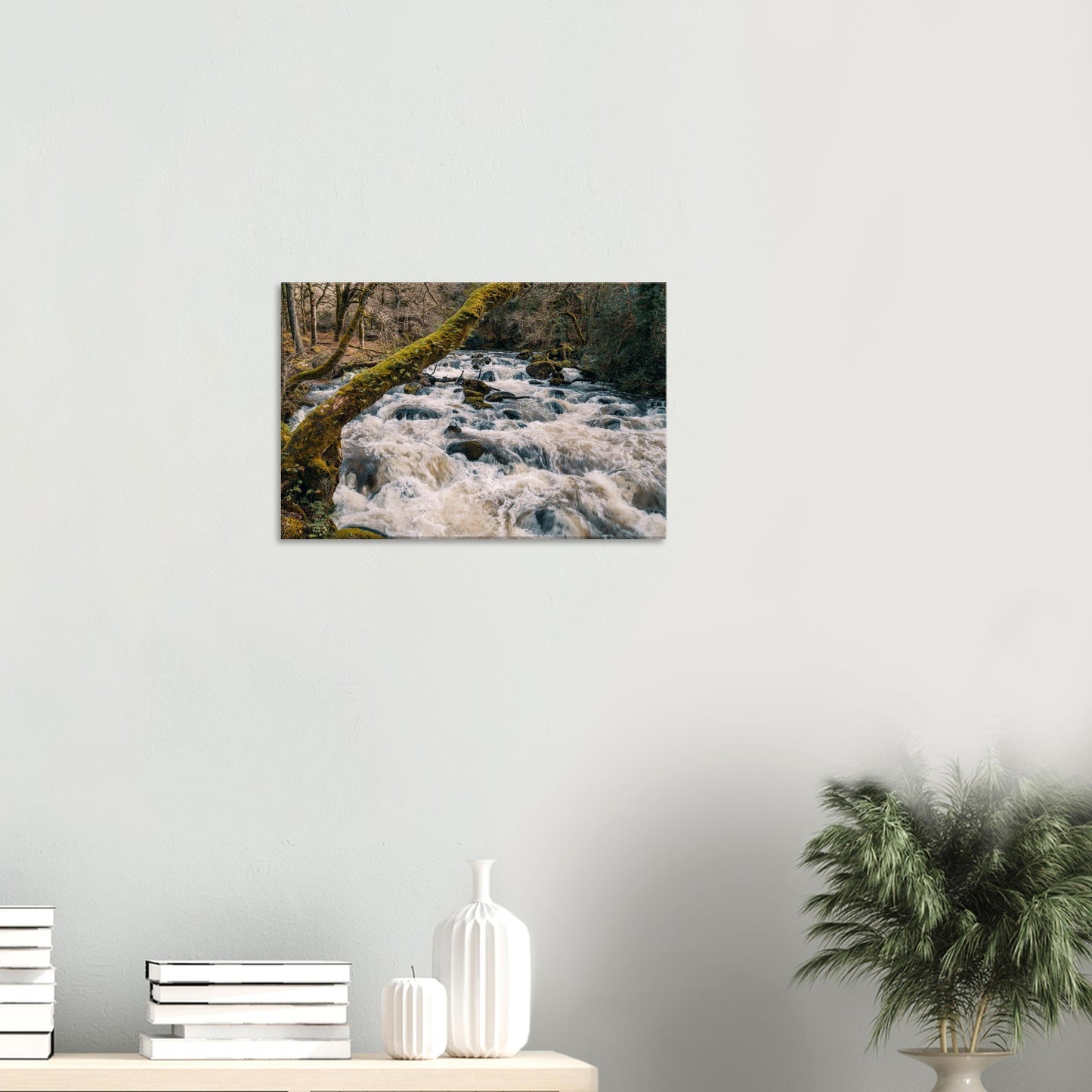 Shaugh Prior’s River Plym captured in mid-flow, framed by rocks and arching tree limbs