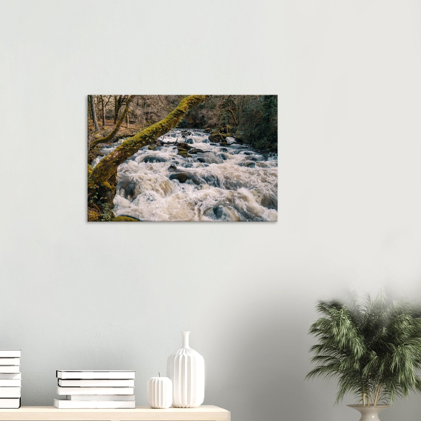 Energetic Dartmoor river scene with fast-flowing water and moss-draped branches