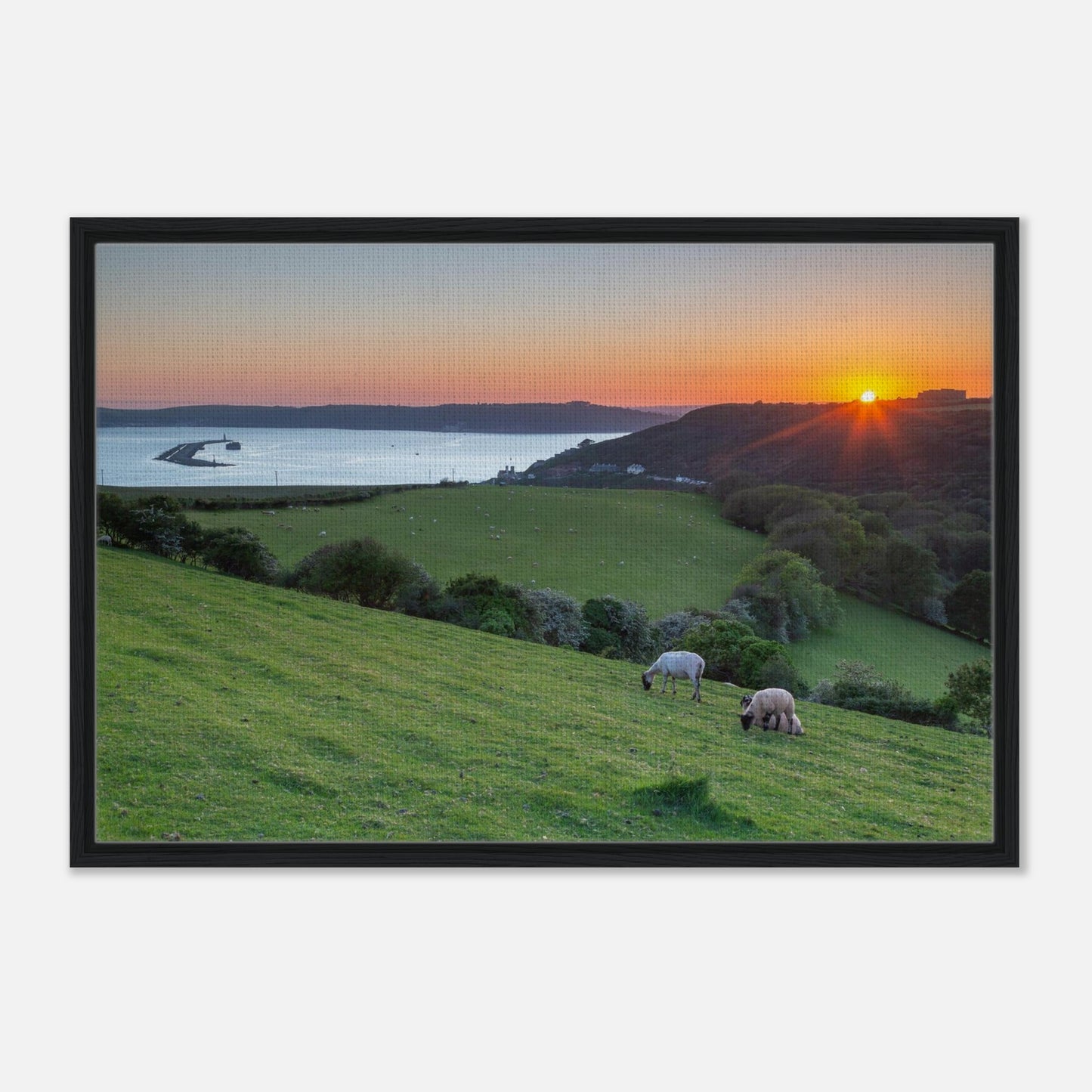 Devon coastline at golden hour wall art