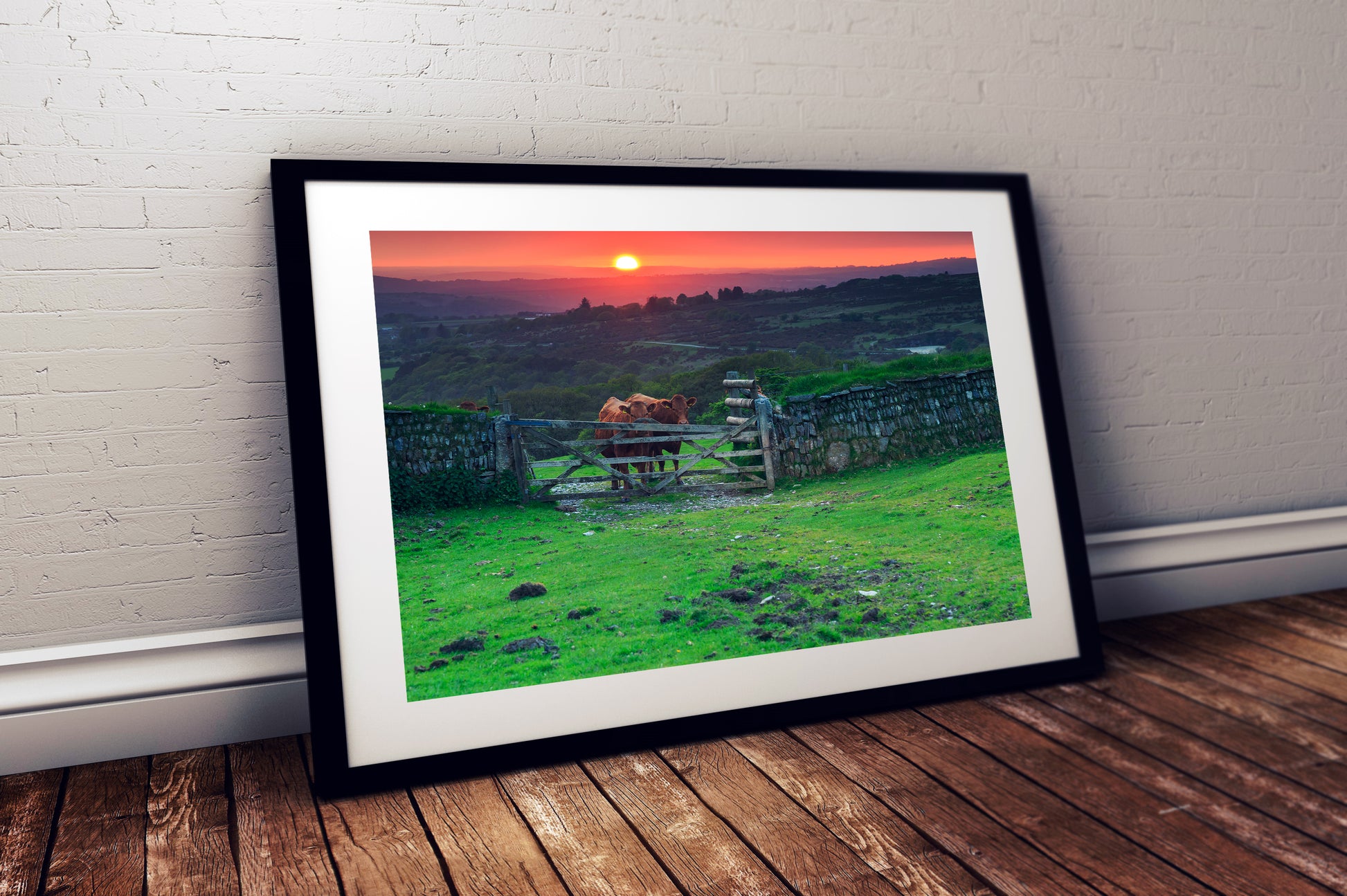High-resolution photograph of Dartmoor moorland at dusk