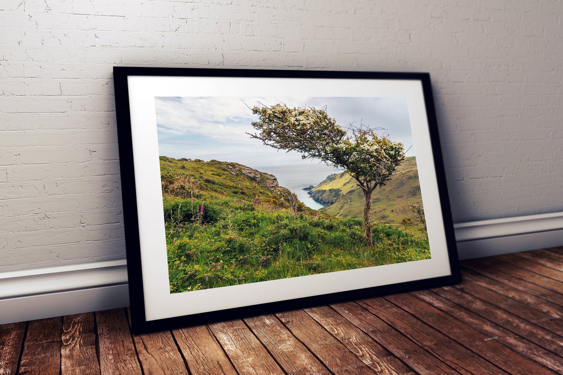 High-resolution photograph of East Soar coastal path Devon