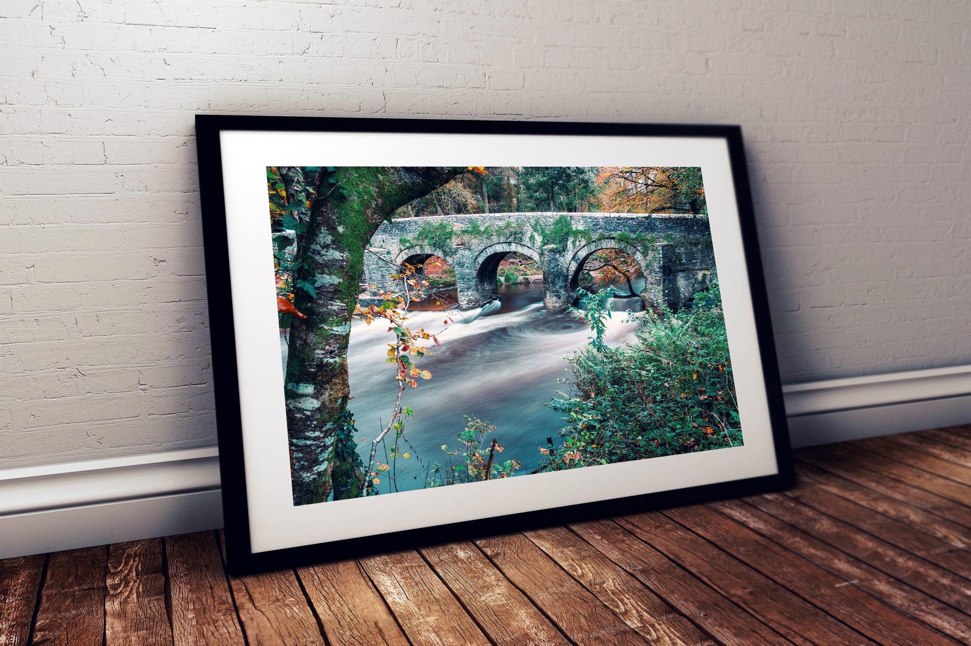 Woodland and river scene Plymbridge Woods print