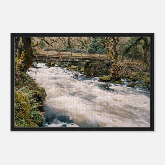 Dartmoor river scene with mossy banks and flowing water