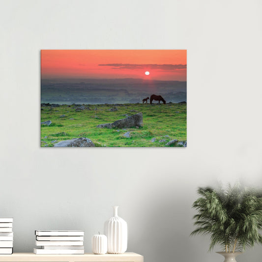 Canvas print of Dartmoor sunset with mare and foal silhouetted against red-orange sky.