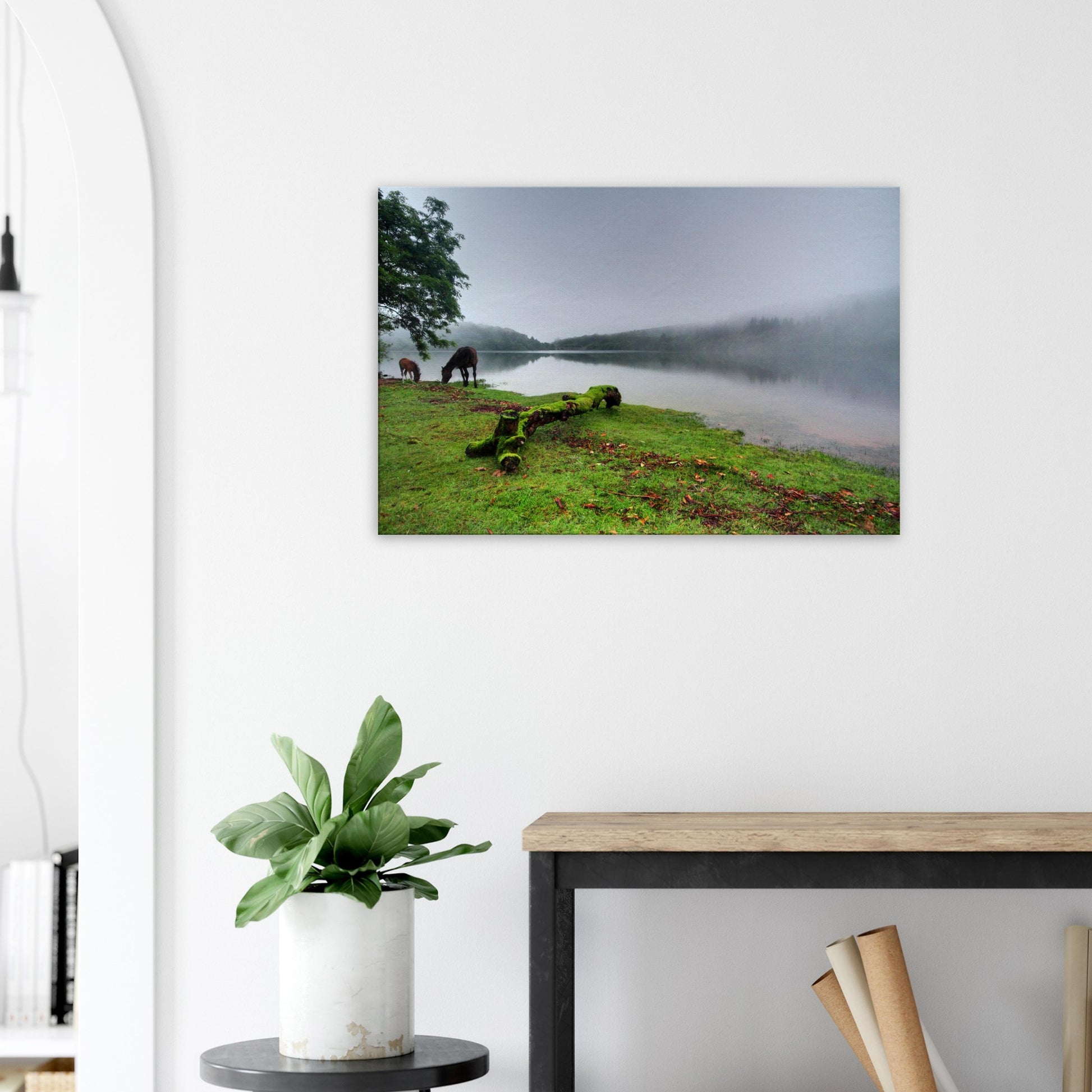 Mossy log leading into misty Burrator Reservoir landscape