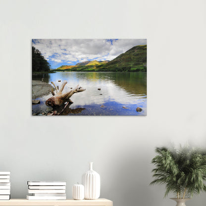 Canvas print of Buttermere Lake in the Lake District showing calm waters reflecting fluffy clouds and green fells with weathered driftwood in the foreground.