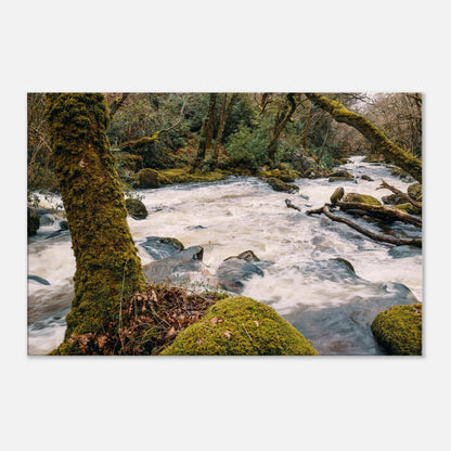 Canvas Print of frothy white rapids on the River Plym in Dartmoor National Park