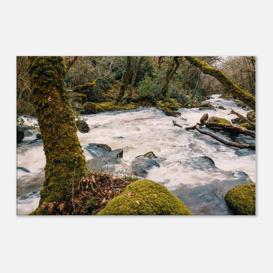 Canvas Print of frothy white rapids on the River Plym in Dartmoor National Park