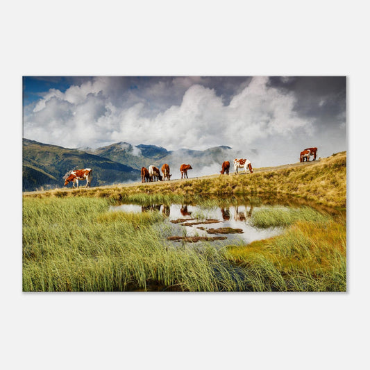 Canvas print of Panoramabahn alpine scenery with cows, a pristine pond, and the mysterious beauty of mist-draped mountains.