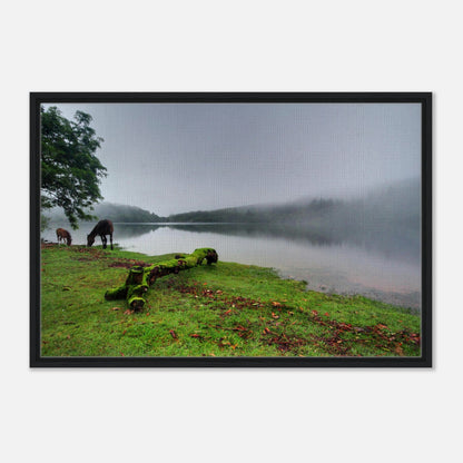 Dartmoor National Park framed artwork with fog and grazing ponies