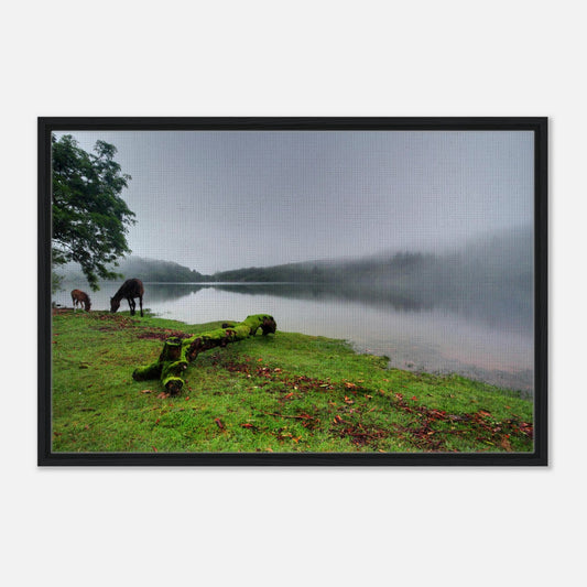 Dartmoor National Park framed artwork with fog and grazing ponies