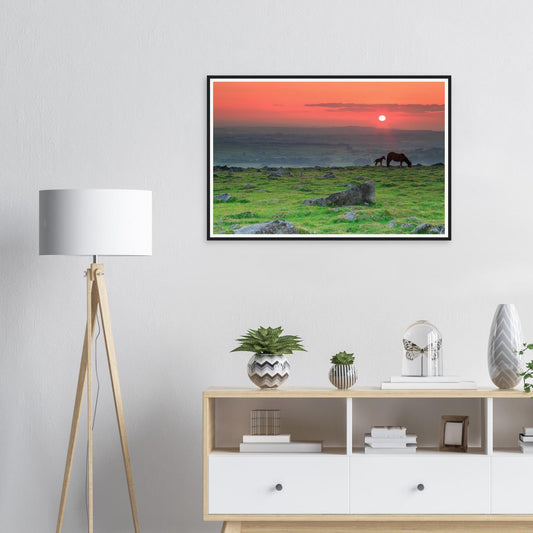 Framed print of Dartmoor National Park at sunset with mare and foal