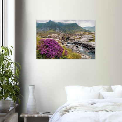 Dramatic mountains and wild terrain of Llyn Idwal in summer