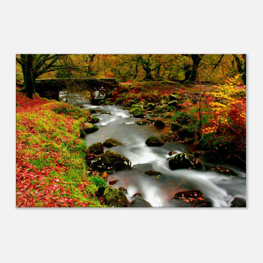 Autumn colours at Burrator Reservoir with stone bridge and stream