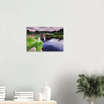 Dartmoor National Park stone bridge framed by wildflowers