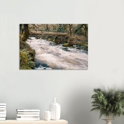 Energetic River Plym flowing under a wooden bridge, surrounded by mossy banks