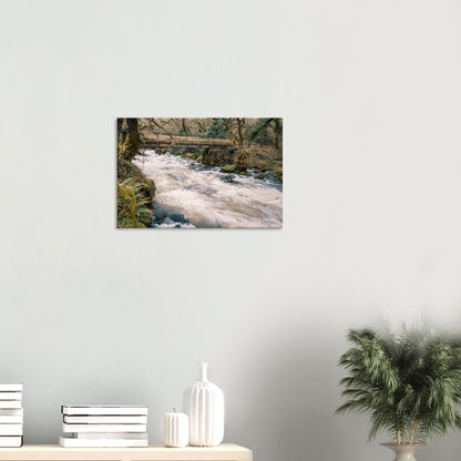 Wild river landscape featuring the River Plym’s motion beneath a footbridge