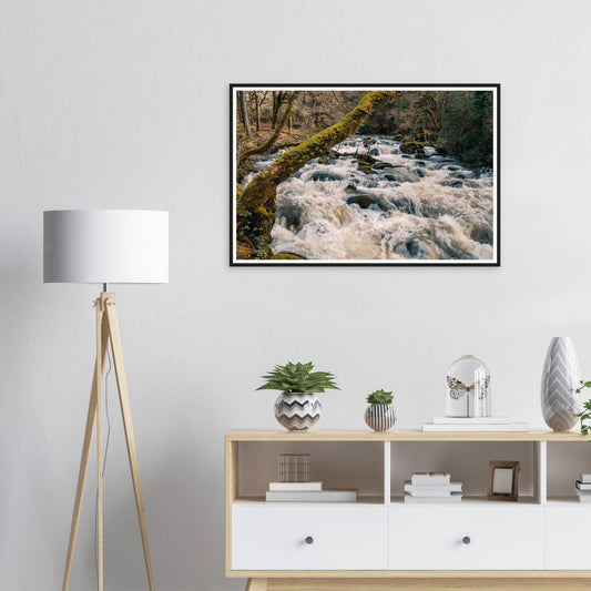 Framed print of River Plym rapids at Shaugh Prior Dartmoor