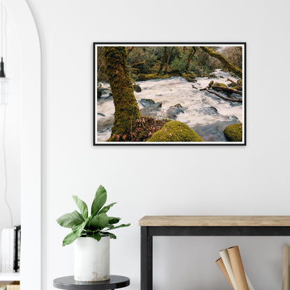 Framed print of River Plym woodland vitality in Shaugh Prior