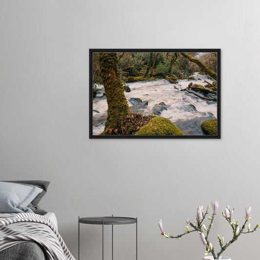 Framed canvas of River Plym woodland scene in Dartmoor